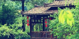 廣西廣投文化旅游公司梅以軍簡歷，廣西廣投文旅和廣西投資集團啥關(guān)系？