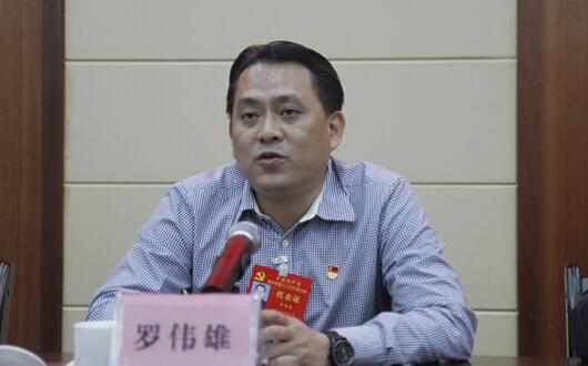 羅偉雄簡歷：梧州市委常委、政法委書記羅偉雄，曾任岑溪市委書記